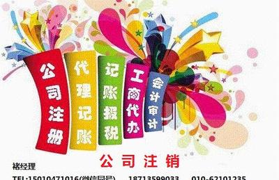 代理代办服务 全面解析与专业指南