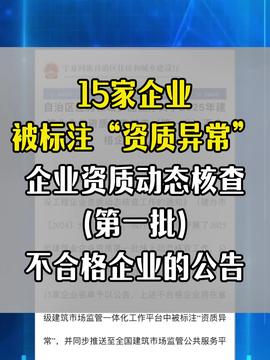 企业生存指南 从日常管理到创新发展的关键节点
